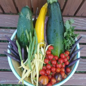 organic gardening personal chef mchenry illinois"